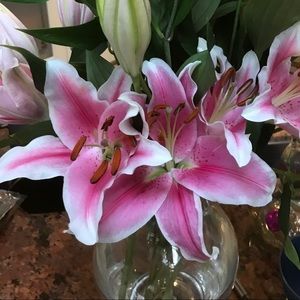 Meet your Posher, La rue